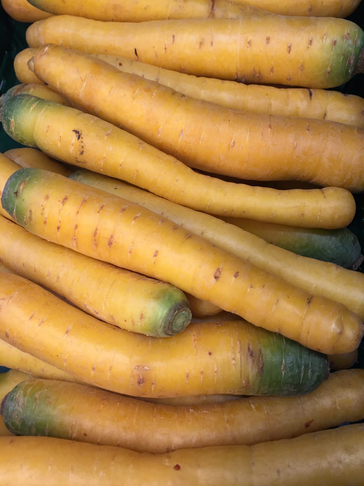 Gemüsegroßhandel Kraut und Rüben – Steiner Obst & Gemüse Gemüsegroßhandel Kraut und Rüben – Steiner Obst & Gemüse